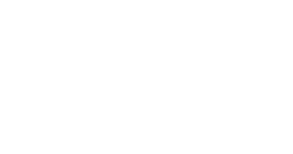 この夏の星を見る